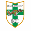 logo_SCANDONE